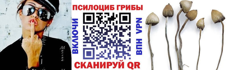 OMG ссылки  Камышлов  Галлюциногенные грибы Psilocybine cubensis 
